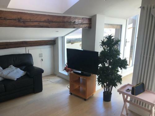Apartamento Nettuno Suite Home