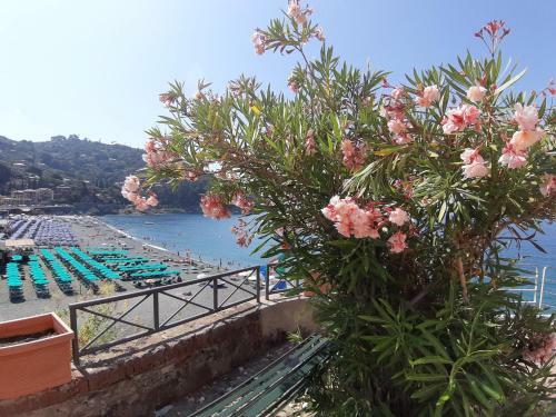 Apartamento Casa Isotta By Holiday World