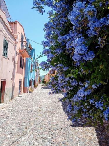 Hostal Regnos Altos Boutique Rooms