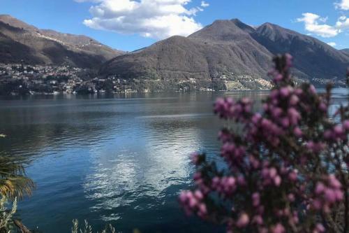 La Torre Apartment Brienno