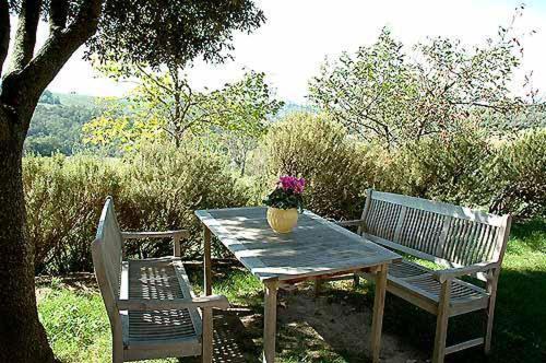 Apartamento Il Leccio