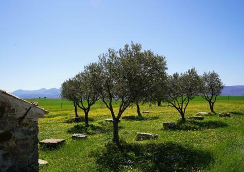 Apartamento Dimora Luxury In Irpinia