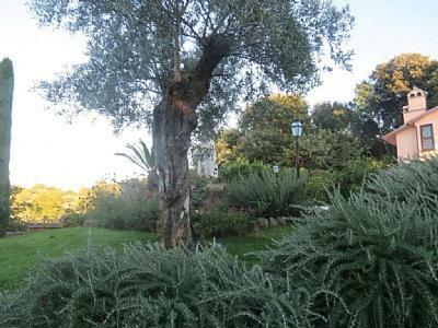 Campagnano Di Roma Villa Sleeps 9 Pool Wifi