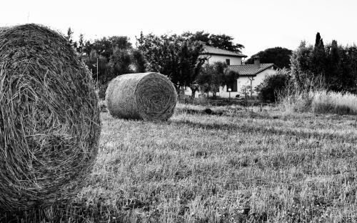 Agroturismo Orti Di Capalbio