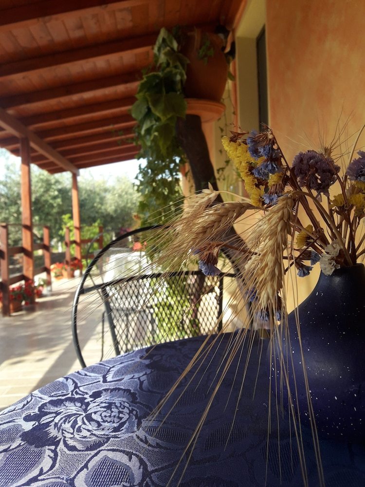 Bed & Breakfast Domu De Palla
