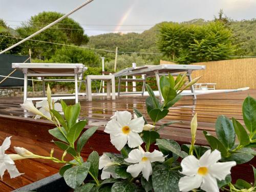 Bed & Breakfast Impronte Nel Bosco