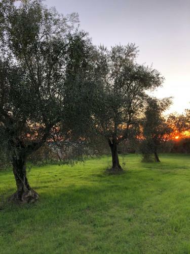 La Casa D'ambra Bed And Breakfast