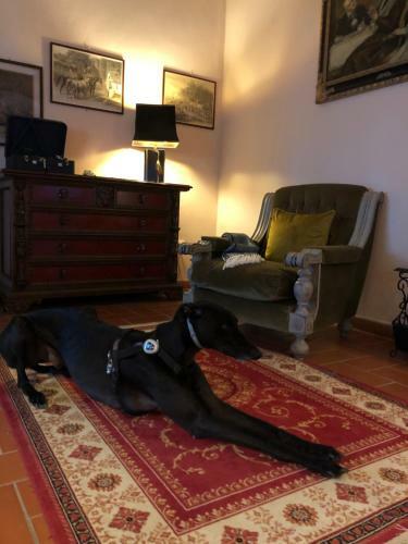 La Casa D'ambra Bed And Breakfast