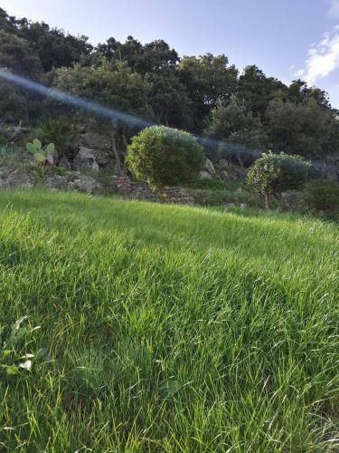 Apartment La Rocca In Lu Bagnu