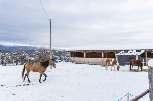 Apartamento Ladinser Hof Reiterstube