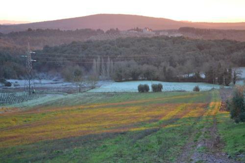 Hostal Agriturismo Podere Ficareto