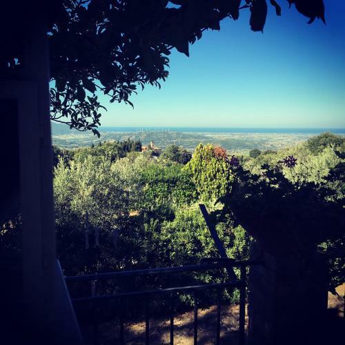 Bed & Breakfast Casale Degli Ulivi Prestige