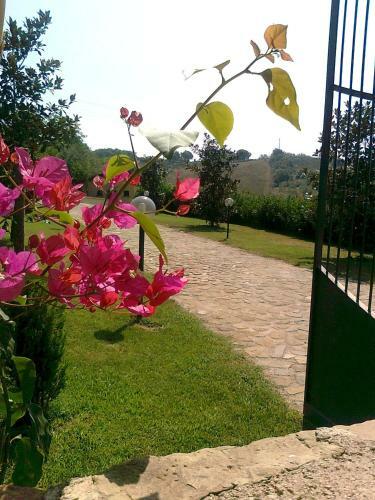 Bed & Breakfast Casale Degli Ulivi Prestige