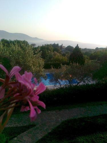 Bed & Breakfast Casale Degli Ulivi Prestige