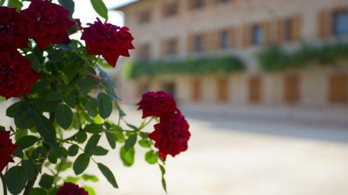 Hotel Ca' Muliner