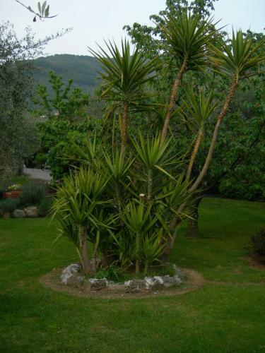 Agroturismo Gli Olivi