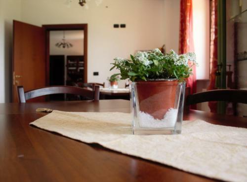 Agroturismo Agriturismo Il Podere