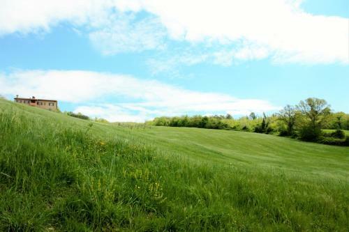 Agroturismo Agriturismo Il Podere