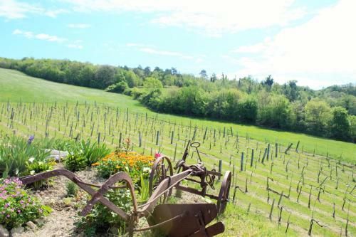 Agroturismo Agriturismo Il Podere