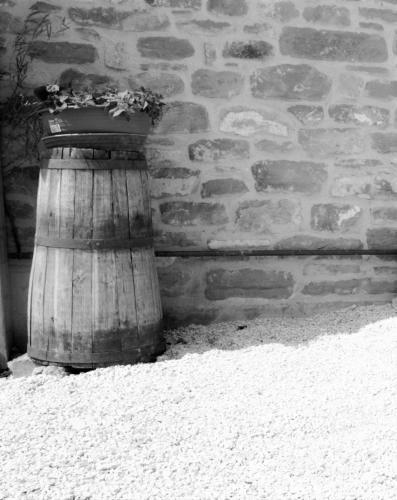 Agroturismo Agriturismo Il Podere