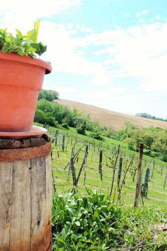 Agroturismo Agriturismo Il Podere