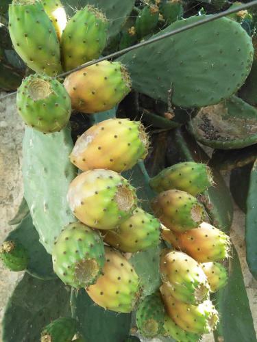 Bed & Breakfast La Zavirna