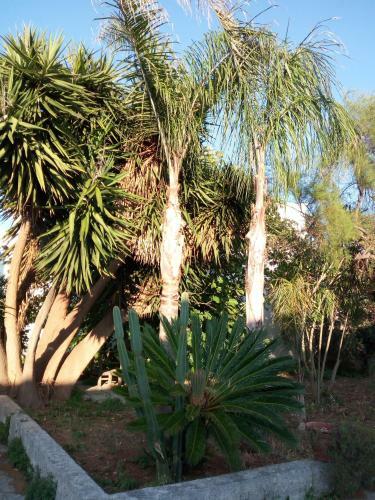 Bed & Breakfast La Zavirna