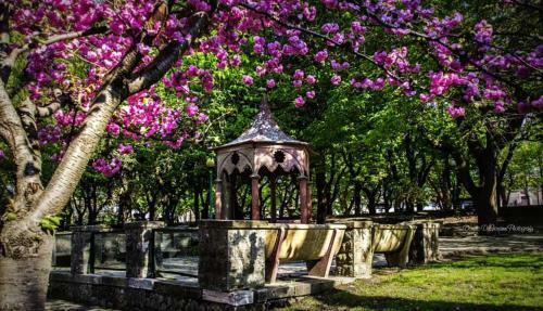 Bed & Breakfast La Casa Del Borgo