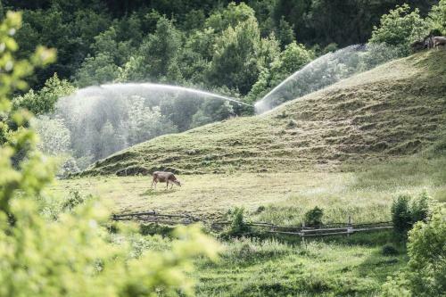 Hotel Zum Mohren & Plavina