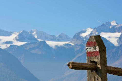 Hotel Zum Mohren & Plavina