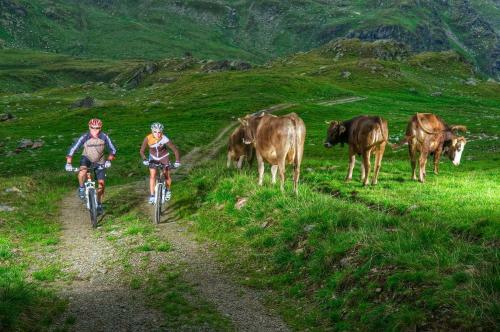 Hotel Zum Mohren & Plavina