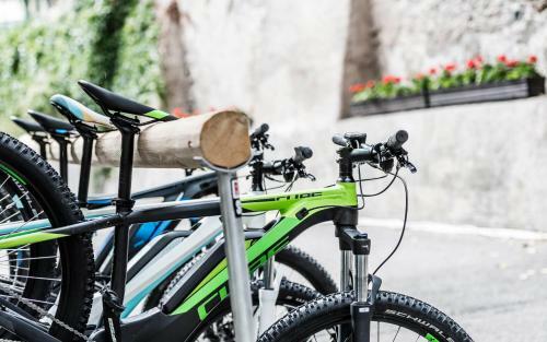 Hotel Zum Mohren & Plavina