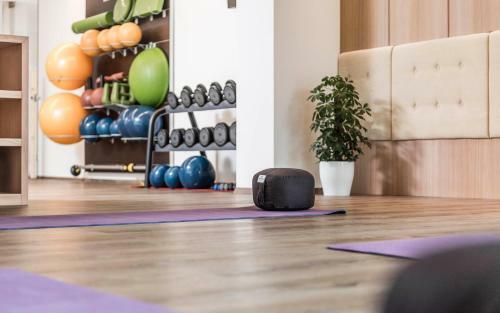 Hotel Zum Mohren & Plavina