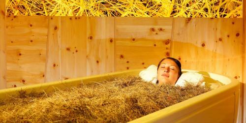 Hotel Zum Mohren & Plavina