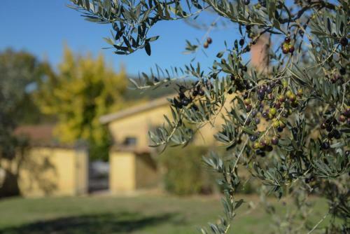 Agroturismo La Fortezza Alta