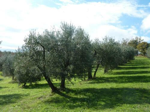 Agroturismo La Fortezza Alta