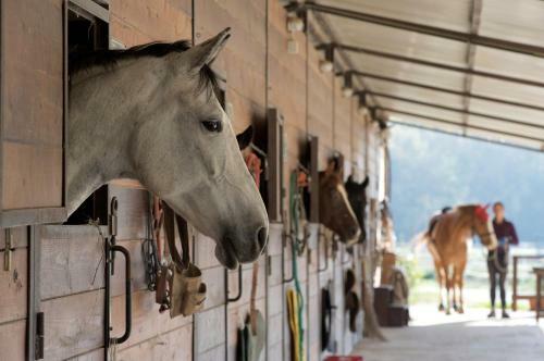 Hotel La Tenuta Dei Ciclamini