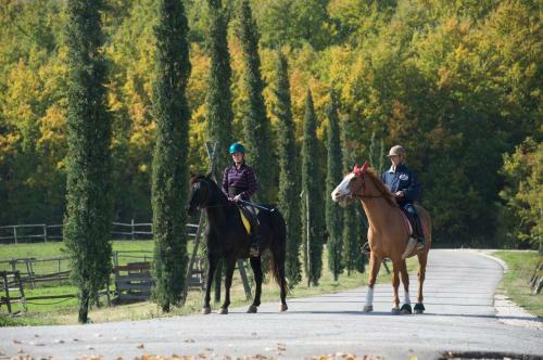 Hotel La Tenuta Dei Ciclamini