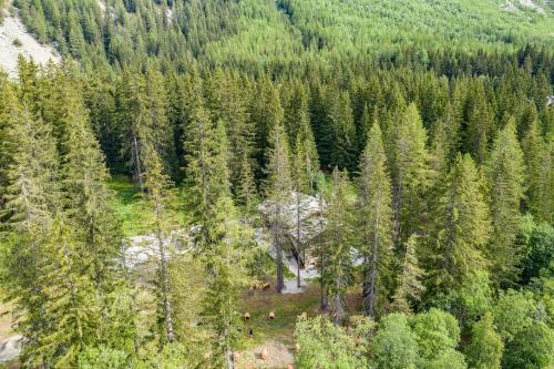 Apartamento Wildhomes Wild Wolf Lodge