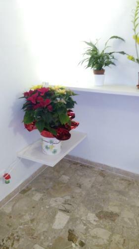 Apartamento Appartamento Rifredi