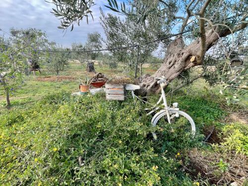 Villa Ilenia Gallipoli