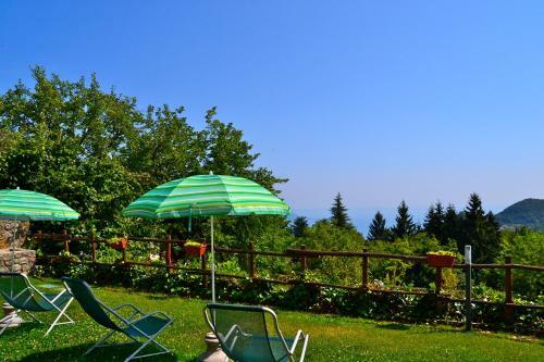 Apartamento Orchidea Liano