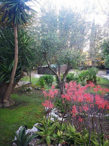 Lizzanello Villa Sleeps 5 Pool Air Con Wifi
