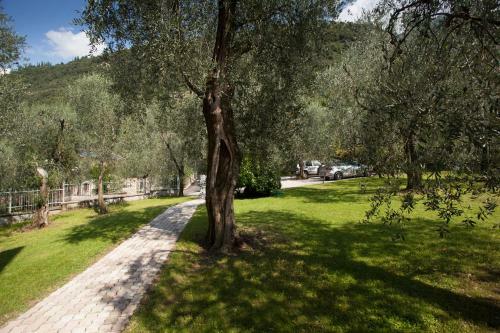 Apartamento App La Pervinca Bilo 6 Pt