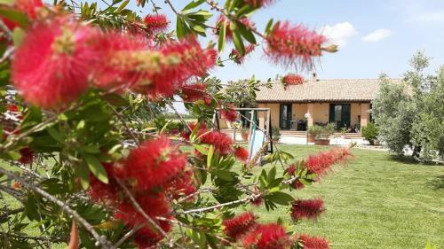 Agroturismo Corte Degli Angeli