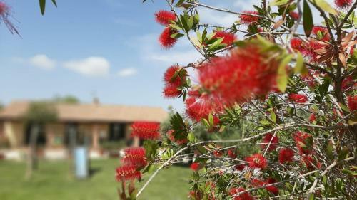 Agroturismo Corte Degli Angeli