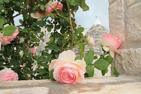 Martina Franca Villa Sleeps 4 Pool Wifi