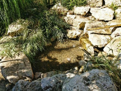 Charming 1-bed Villa In Massa Martana