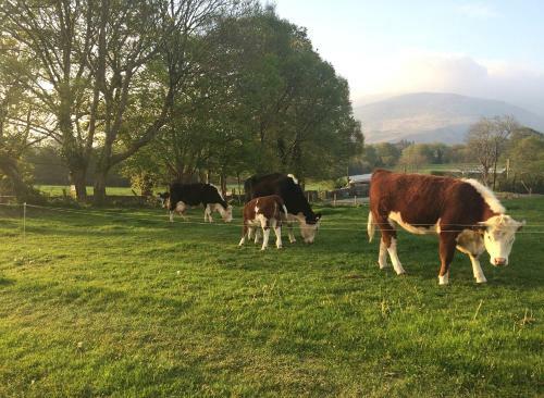 Inveraray Farmhouse B&B