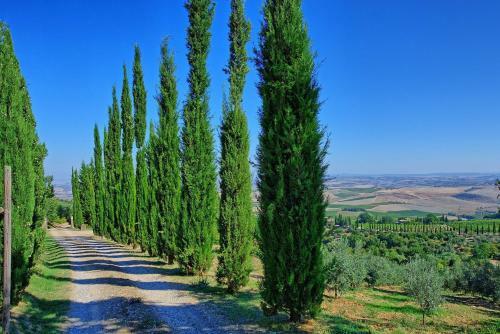 Montalcino Villa Sleeps 8 Pool Wifi